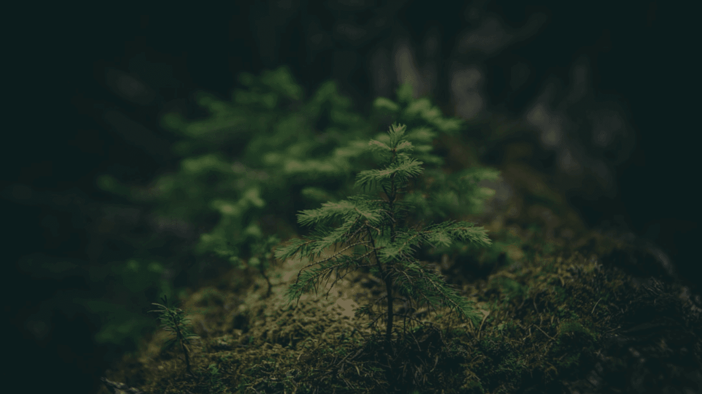 Veo 3.1 Prompts: Fix What’s Making Videos Fail